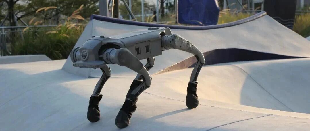 马年团圆必打卡！福建土楼（永定）景区智能萌宠闹春，冠军机器狗陪你解锁客家潮年味